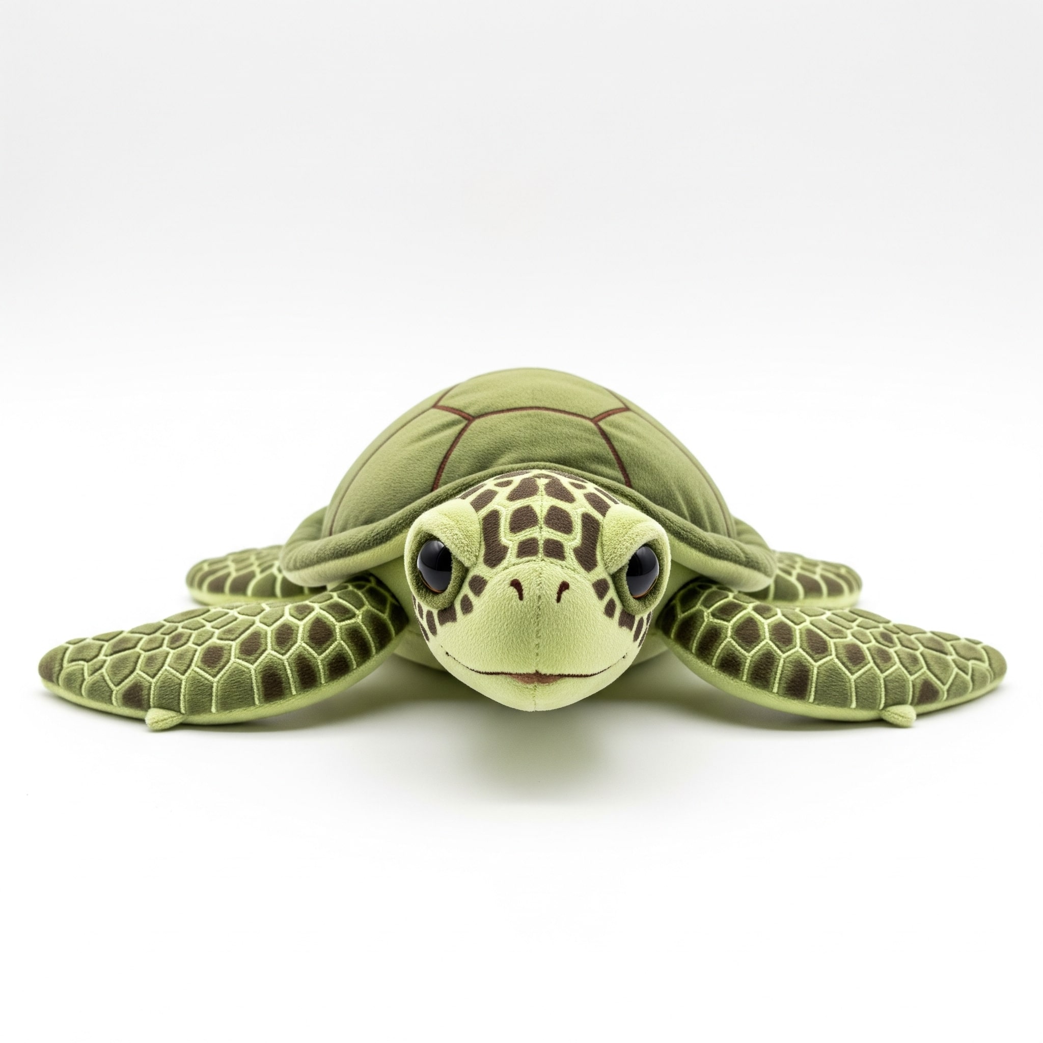 Peluche Tortuga